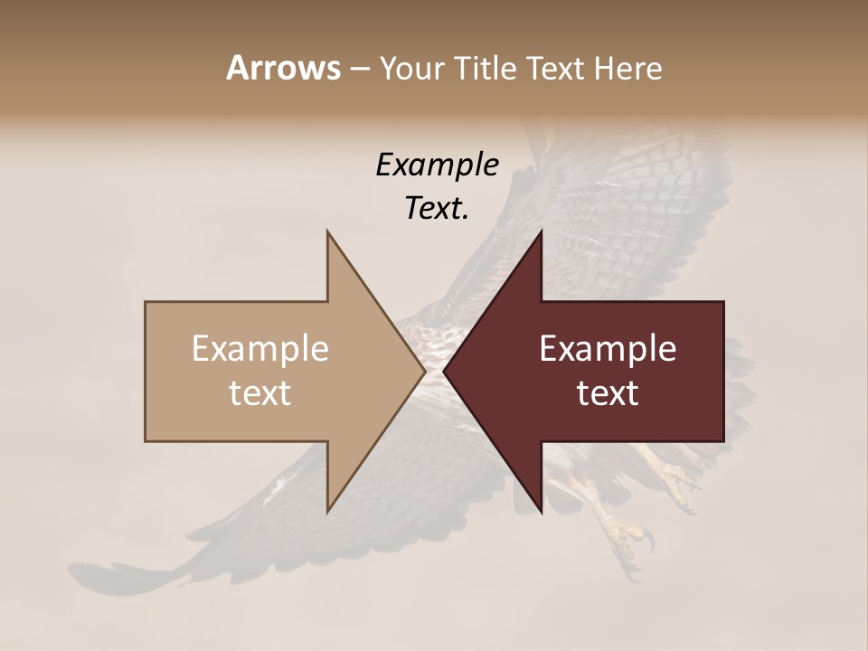 Wingspread Elegance Raptors PowerPoint Template