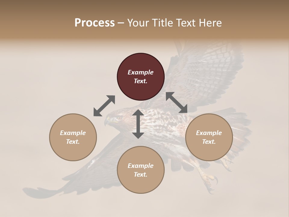 Wingspread Elegance Raptors PowerPoint Template