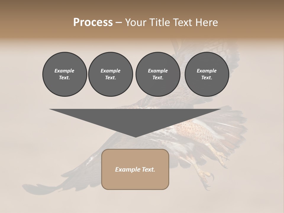 Wingspread Elegance Raptors PowerPoint Template