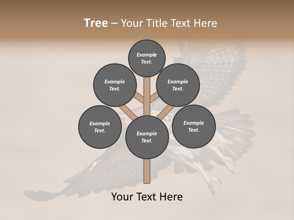 Wingspread Elegance Raptors PowerPoint Template