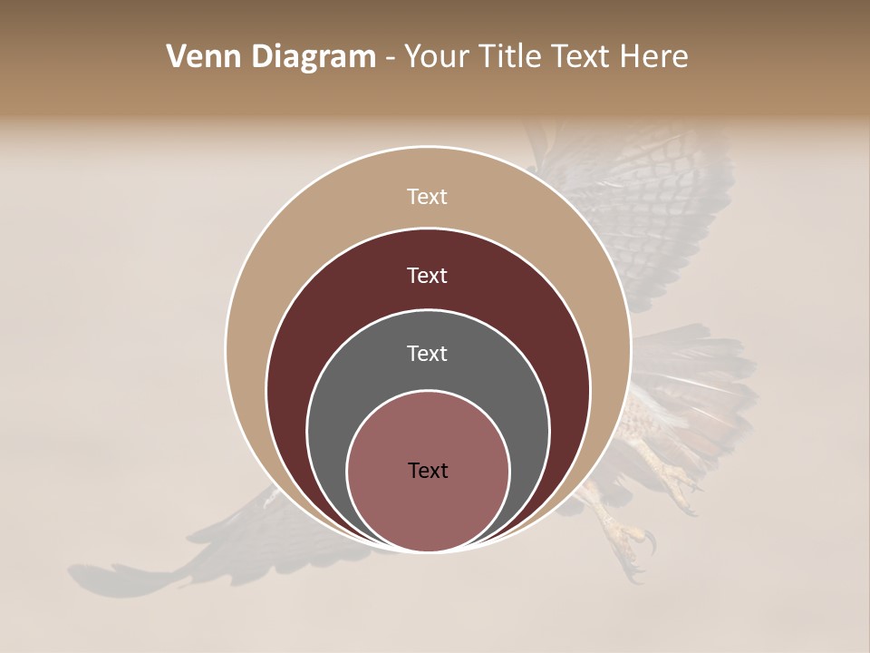 Wingspread Elegance Raptors PowerPoint Template