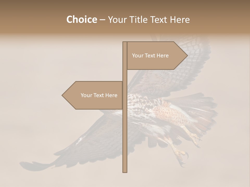 Wingspread Elegance Raptors PowerPoint Template