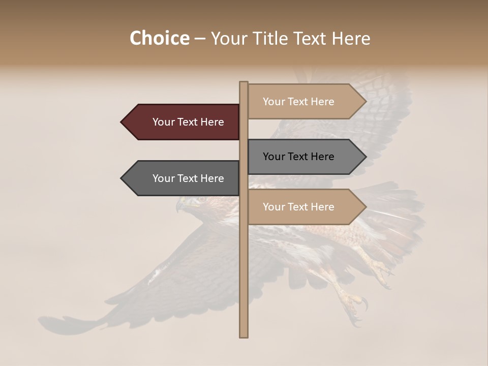 Wingspread Elegance Raptors PowerPoint Template