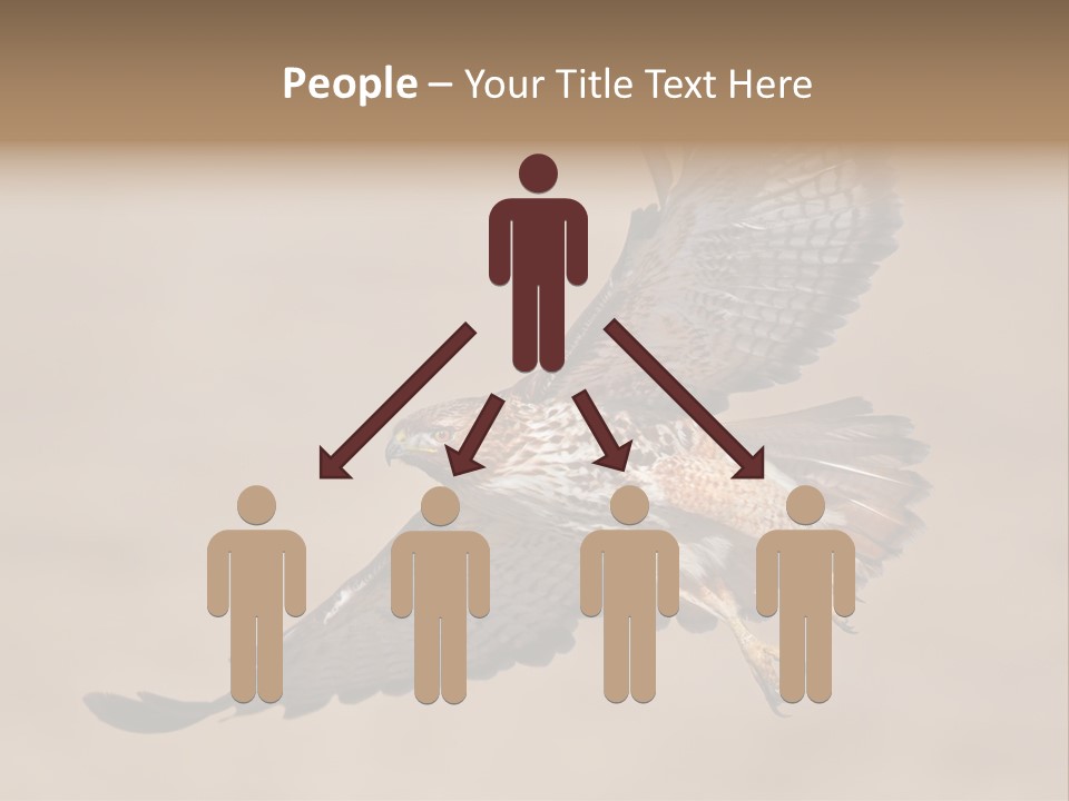 Wingspread Elegance Raptors PowerPoint Template