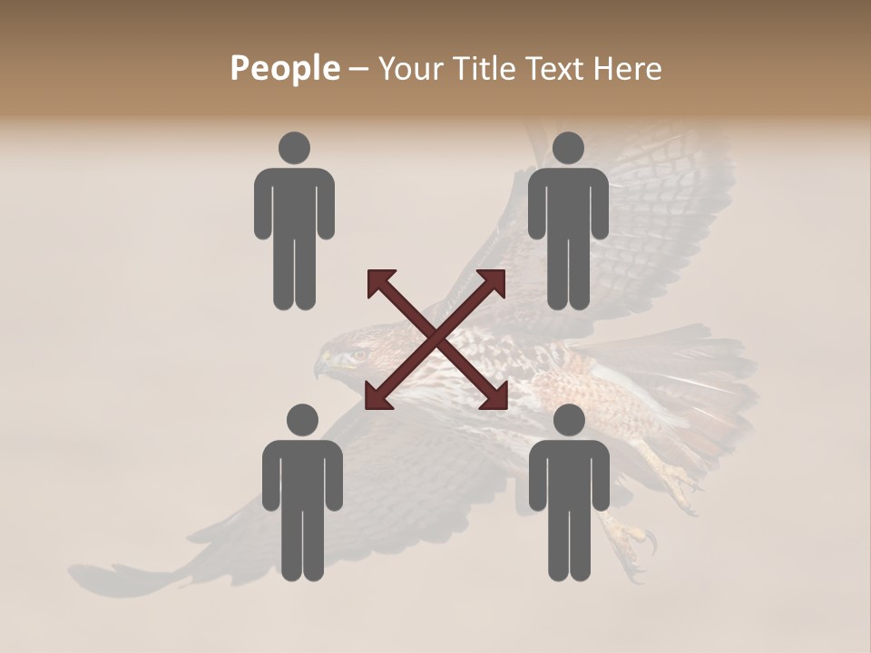 Wingspread Elegance Raptors PowerPoint Template