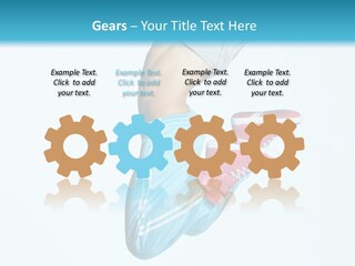 Elegance Cheerful Studio PowerPoint Template