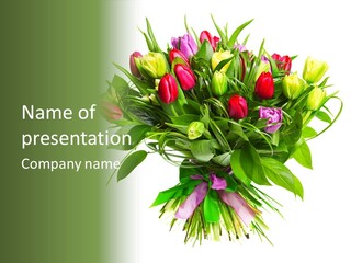 Composition Pink Spring PowerPoint Template