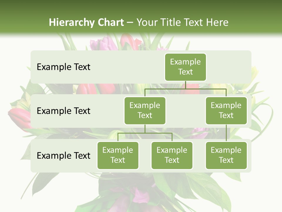Composition Pink Spring PowerPoint Template