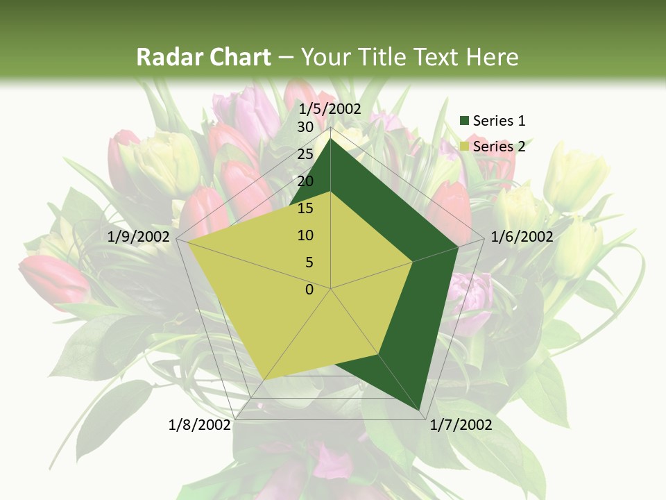 Composition Pink Spring PowerPoint Template