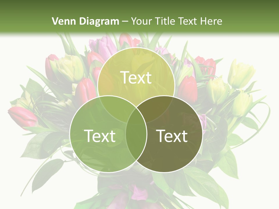 Composition Pink Spring PowerPoint Template