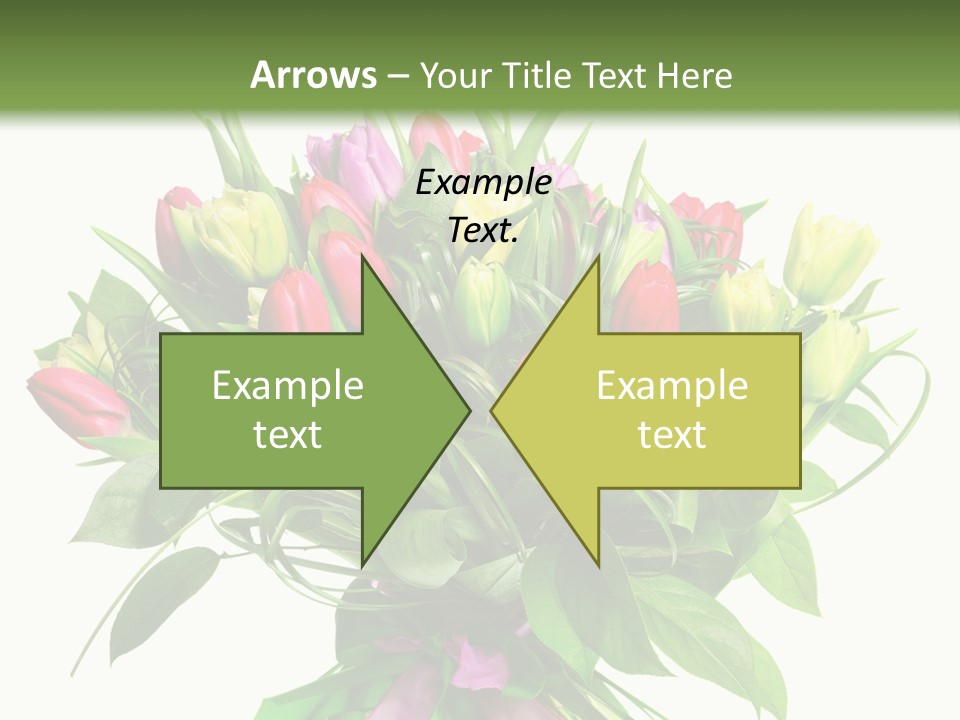 Composition Pink Spring PowerPoint Template