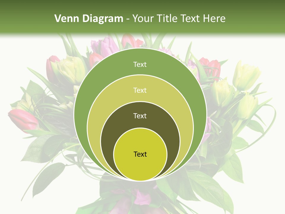 Composition Pink Spring PowerPoint Template