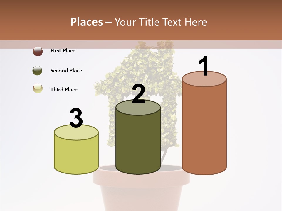 Environmental Eco Insurance PowerPoint Template