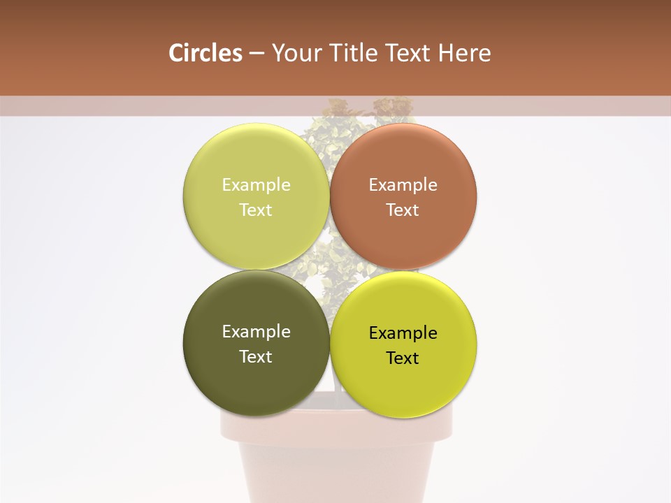 Environmental Eco Insurance PowerPoint Template