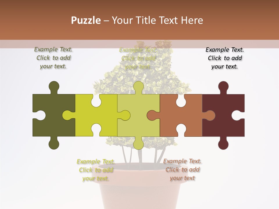 Environmental Eco Insurance PowerPoint Template