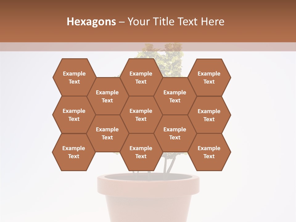 Environmental Eco Insurance PowerPoint Template