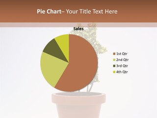 Environmental Eco Insurance PowerPoint Template