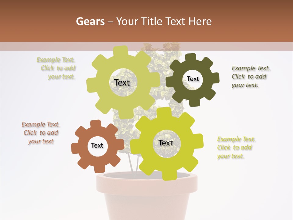 Environmental Eco Insurance PowerPoint Template