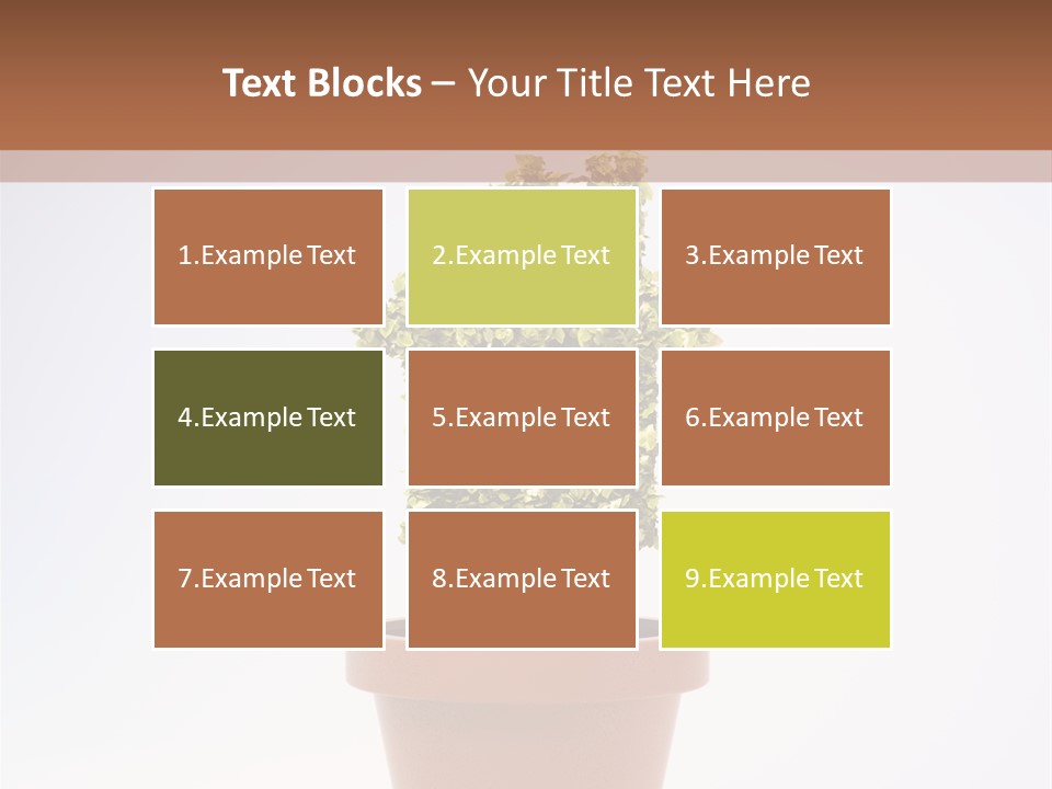 Environmental Eco Insurance PowerPoint Template