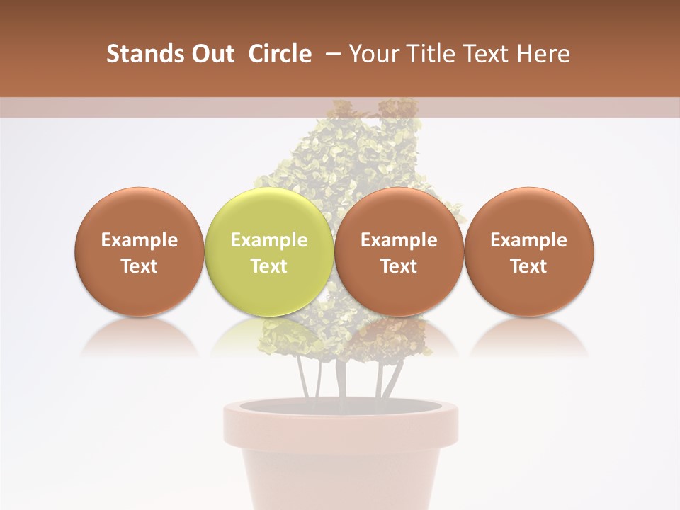 Environmental Eco Insurance PowerPoint Template