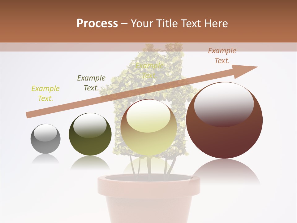 Environmental Eco Insurance PowerPoint Template