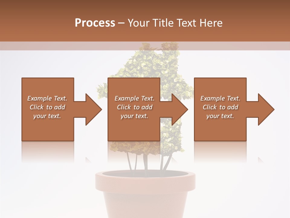 Environmental Eco Insurance PowerPoint Template