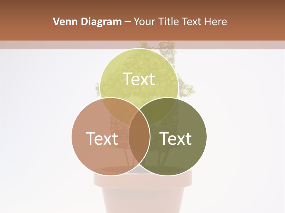 Environmental Eco Insurance PowerPoint Template