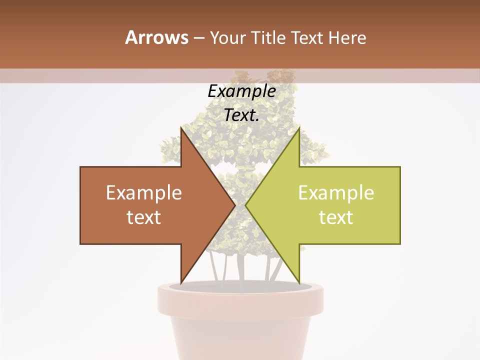 Environmental Eco Insurance PowerPoint Template