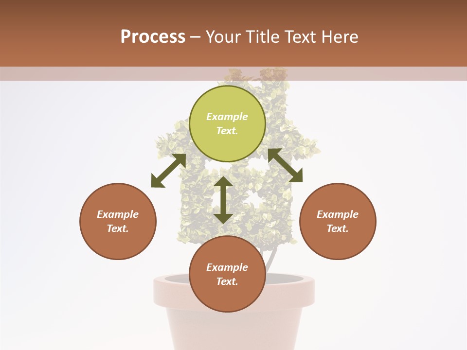 Environmental Eco Insurance PowerPoint Template