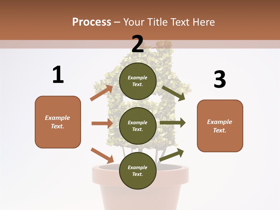 Environmental Eco Insurance PowerPoint Template