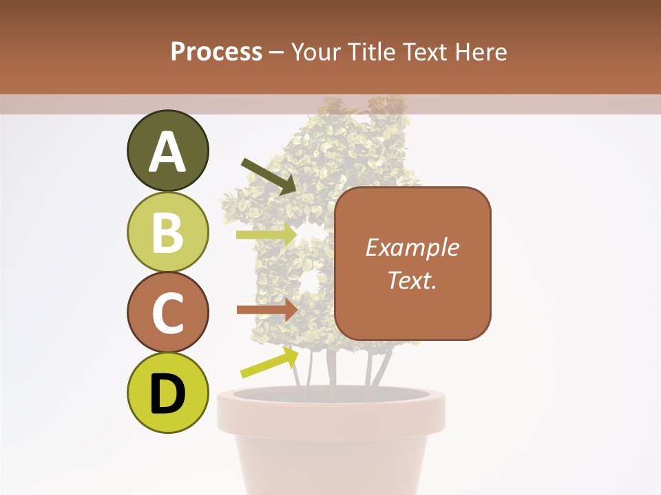 Environmental Eco Insurance PowerPoint Template