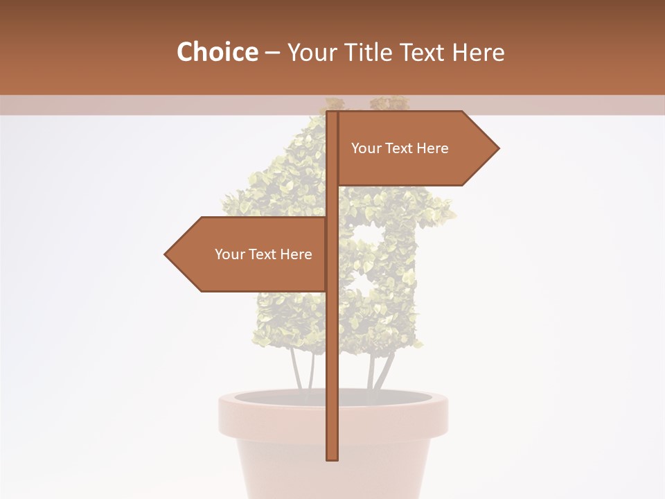 Environmental Eco Insurance PowerPoint Template