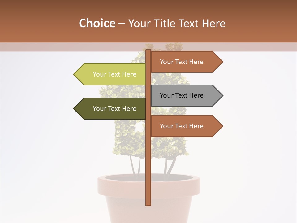 Environmental Eco Insurance PowerPoint Template
