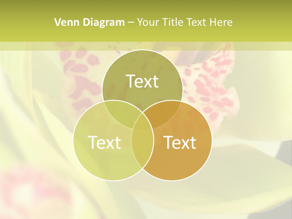 Li Ten Toon Chair PowerPoint Template