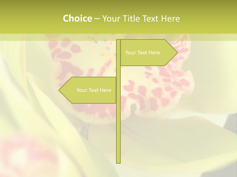 Li Ten Toon Chair PowerPoint Template