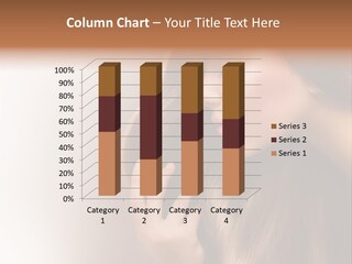 Coloring Glossy Perfect PowerPoint Template