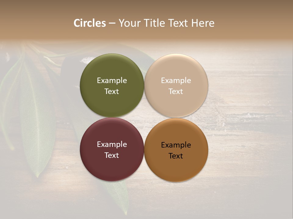 Fresh Mediterranean Floral PowerPoint Template