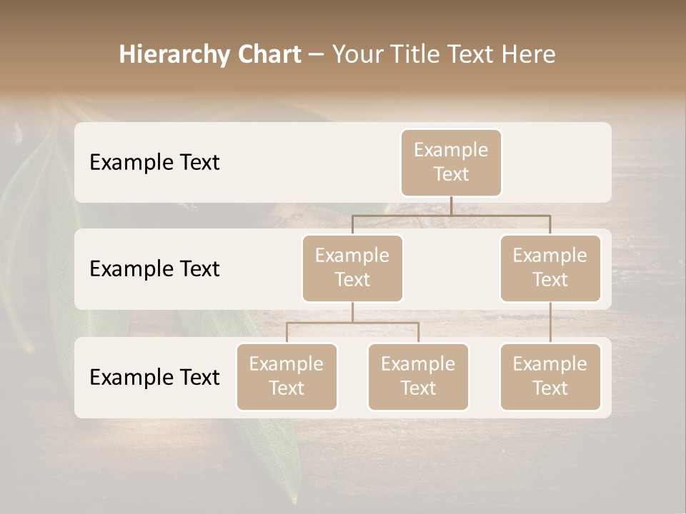 Fresh Mediterranean Floral PowerPoint Template