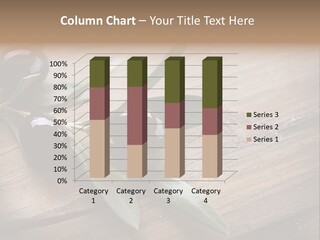 Treatment Food Spain PowerPoint Template