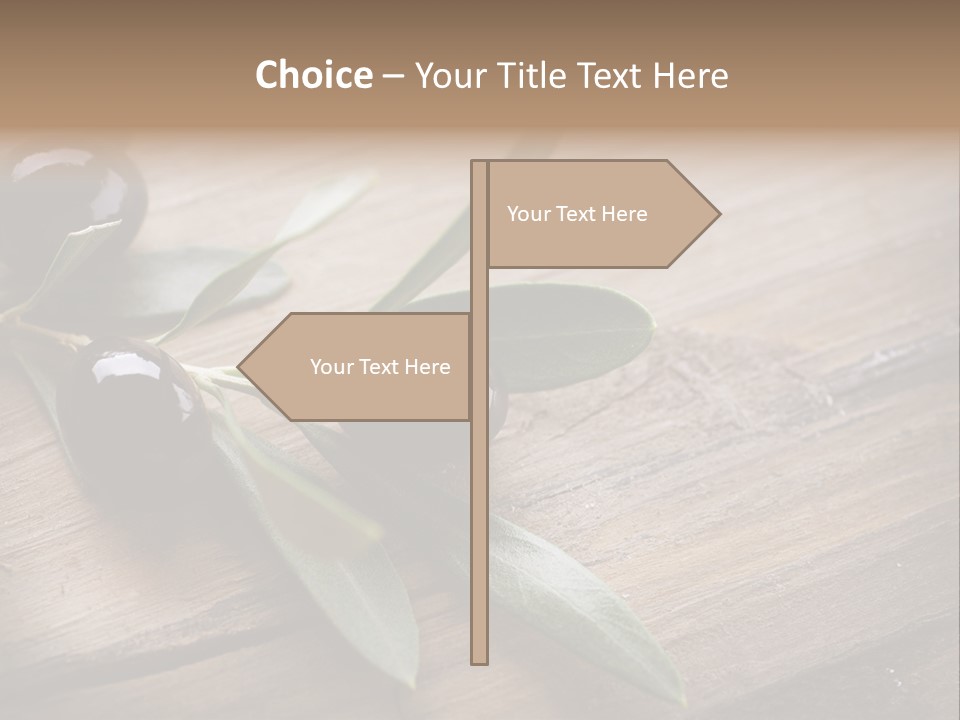 Treatment Food Spain PowerPoint Template