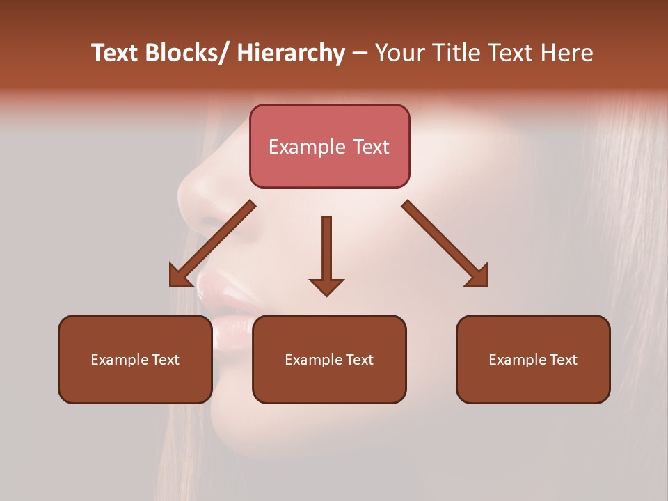 Face Fashion Haircare PowerPoint Template