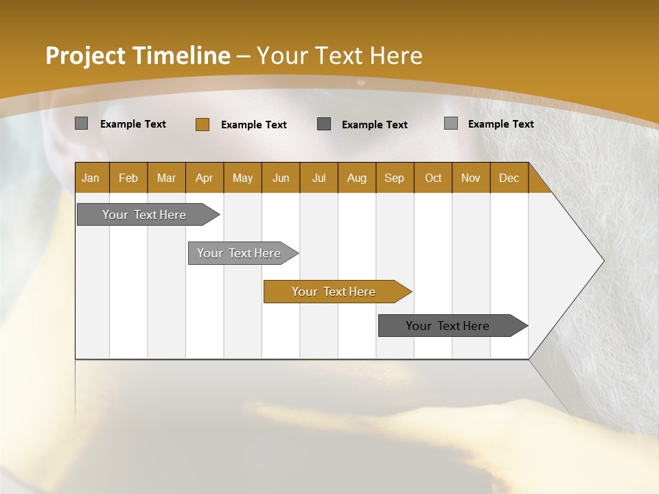 Long Beauty Studio PowerPoint Template