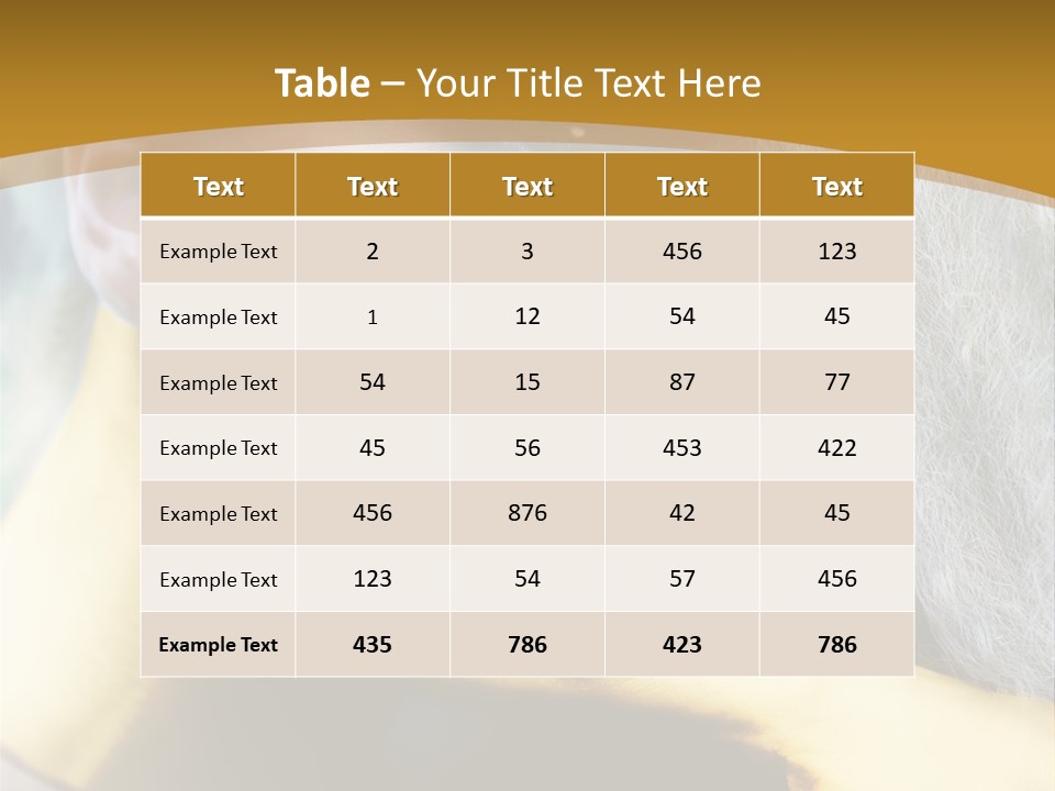Long Beauty Studio PowerPoint Template