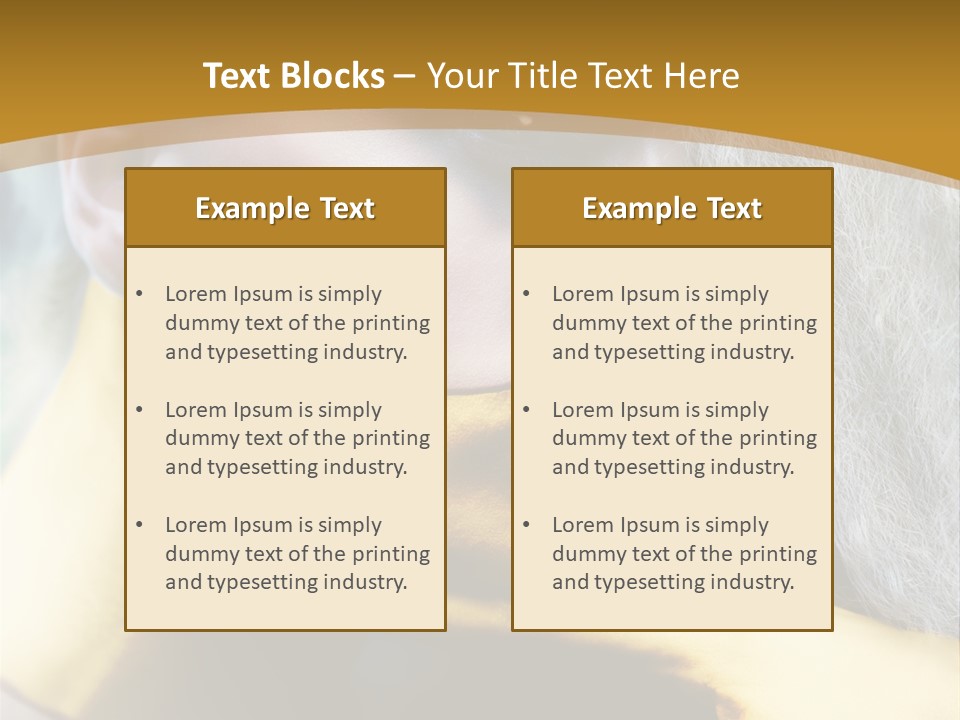 Long Beauty Studio PowerPoint Template