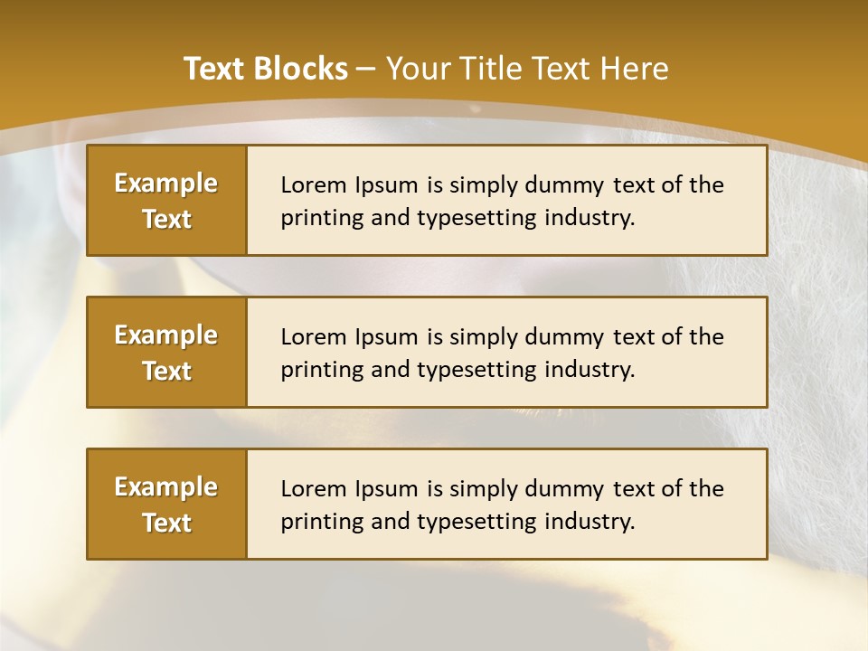 Long Beauty Studio PowerPoint Template