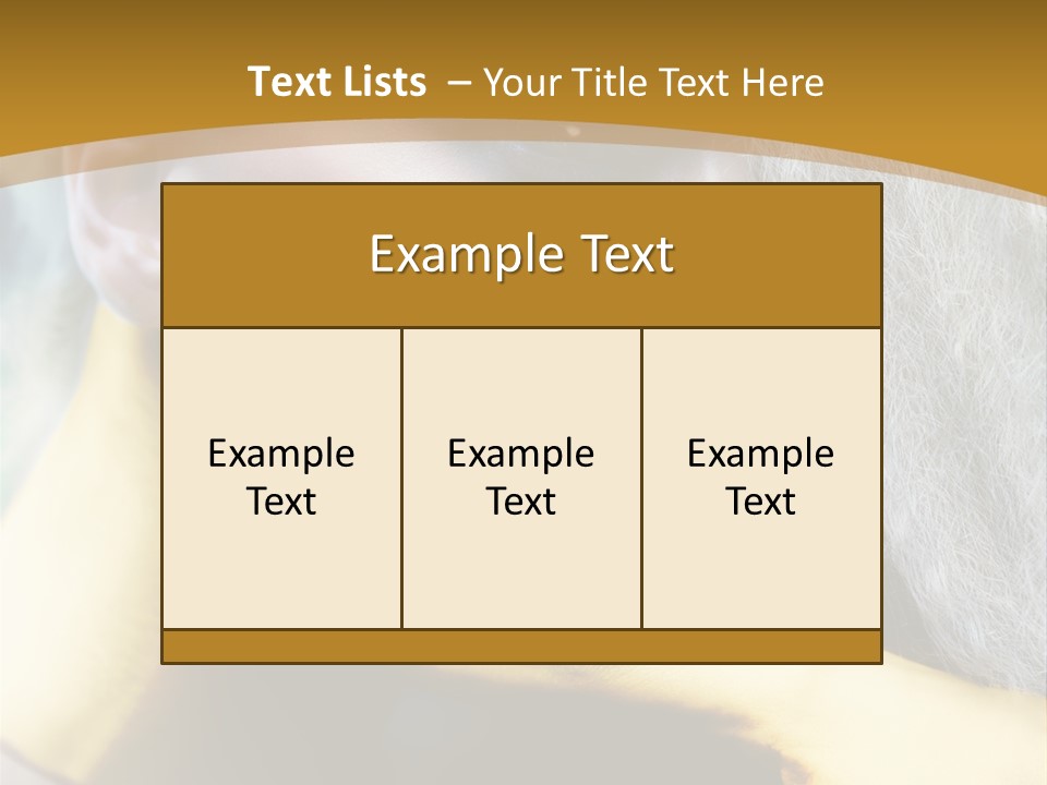 Long Beauty Studio PowerPoint Template