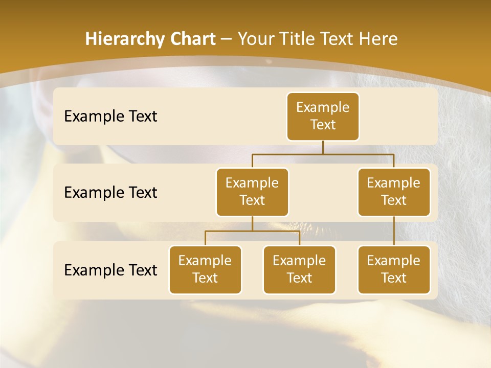 Long Beauty Studio PowerPoint Template
