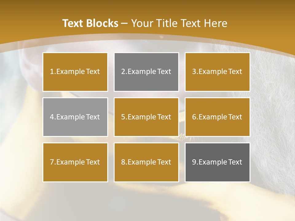 Long Beauty Studio PowerPoint Template