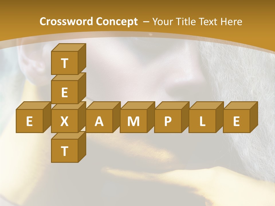Long Beauty Studio PowerPoint Template