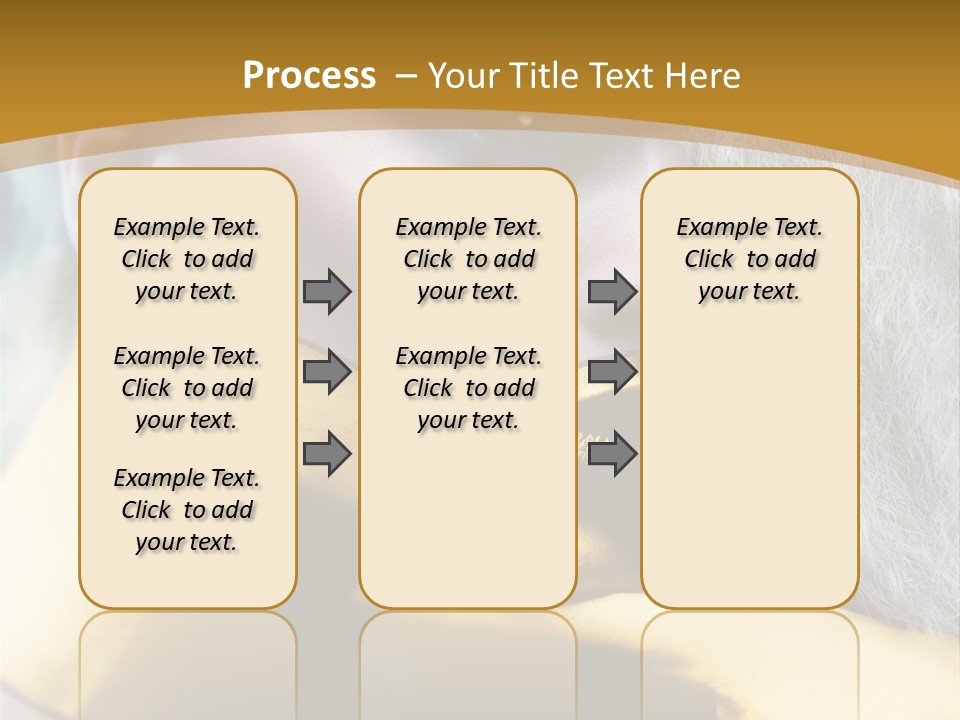 Long Beauty Studio PowerPoint Template